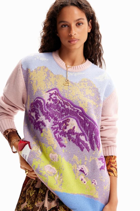 Desigual moterys m. christian Lacroix peizažinis megztinis apranga S606BV231
